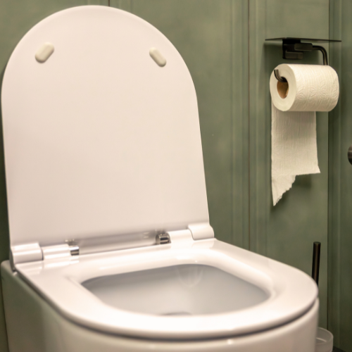 Pode jogar papel higiênico no vaso sanitário ou não?